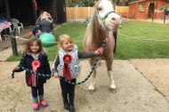 Fairytail Pony Events