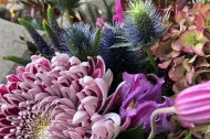 The Wild Flower Box