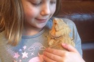 Nature’s Burrow Animal Encounters
