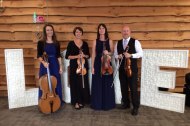 Exe Valley Strings