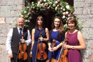 Exe Valley Strings