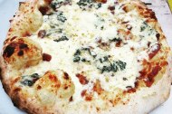 The Chester Pizza Company