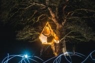 Treetop Co.