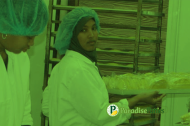 Paradise Patties Ltd