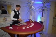 Fun Casino Nights