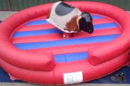 Bouncing Beans Inflatables