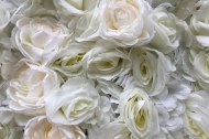 Bloom & Co