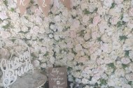 Green Wedding