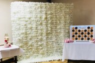 Essential Elegance hire