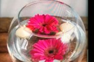 AJ's catering services & party supplies