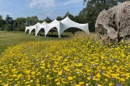 Godney marquees