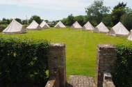 Daisy Bell Tents