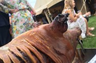 Lancashire Hogroast and BBQs