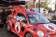 Buckshaw Coffee Bug