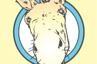 Daisy Donkeys
