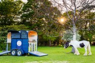 The Trough Horse Box Bar