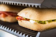 Panini Project
