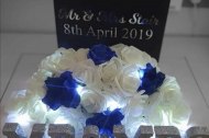 Sheer Elegance balloon artistry and event decor