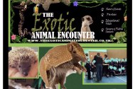 The Exotic Animal Encounter