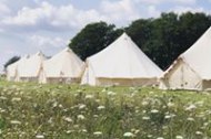 Pepper Bells Glamping