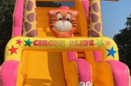 Circus Slide