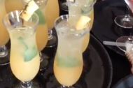 The Cocktail Fairy