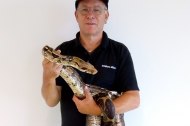 Snakes Alive Limited