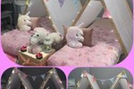 Wee Stars Teepee Parties