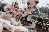 Plush Party Events
