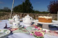 Deborahs Vintage China Hire
