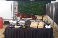 Artisan Cuisine Ltd