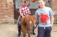 Happy Hooves Pony Parties