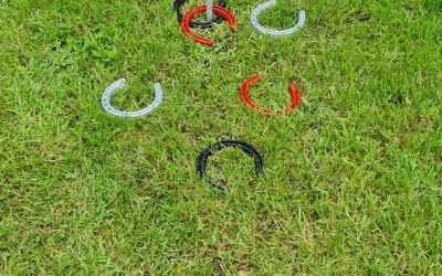 Horse shoe toss