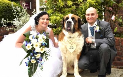 Amanda-Louise Knight Wedding Day Dog Chaperone