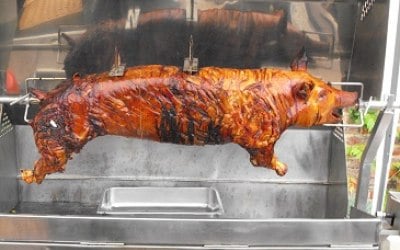 This Little Piggy Went