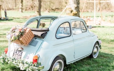 Bluebell 