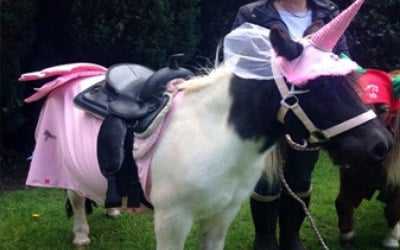Lollipop Pony Parties
