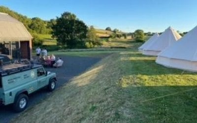 Giraffe Shed with glamping