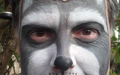 Racoon