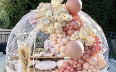 Maxi Plus Garland & Pampas Cloud on Dome