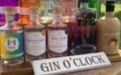 Part of our gin selection
