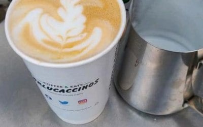 Barista coffee