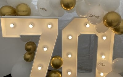 Light Up Numbers 