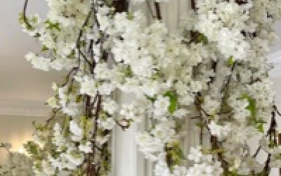 Timeless elegance of a white theme