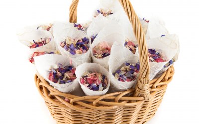 Delphinium Petals Confetti Cone Basket