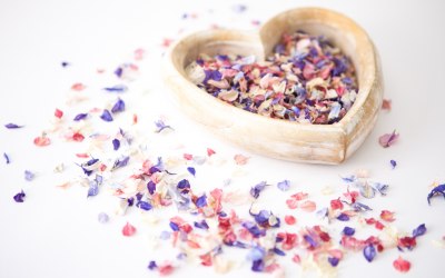Rainbow Delphinium Petal Confetti