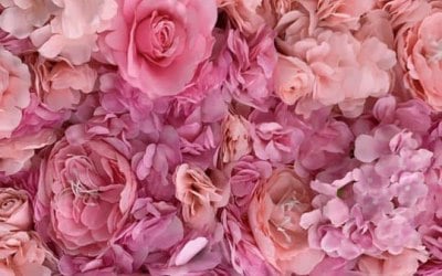 Pink flower wall