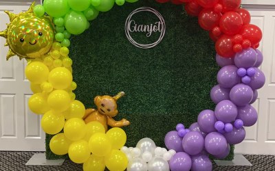 Teletubbies Set up 