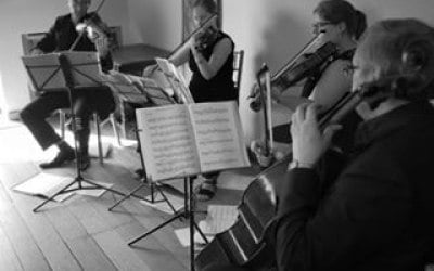 Sonore quartet in action