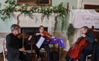 Sonore violin, viola and cello trio